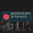 pamurei.pro